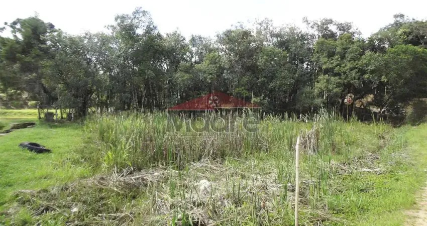 Chácara / sítio à venda na Rua José Biscaia de Andrade, Zona Rural, Mandirituba