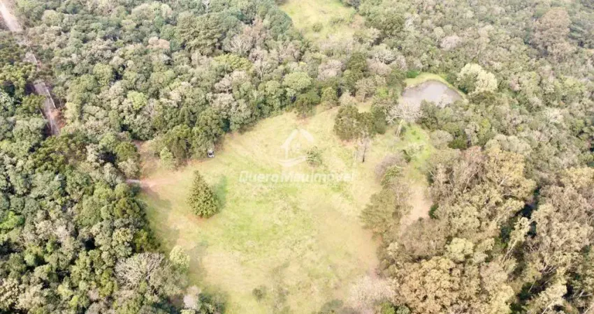 Chácara / sítio à venda na Estrada do Imigrante, 2300, Nossa Senhora das Graças, Caxias do Sul
