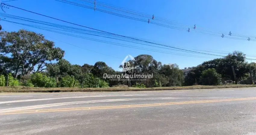 Terreno à venda na Avenida Maurício Sirotsky Sobrinho, 2780, São Victor COHAB, Caxias do Sul
