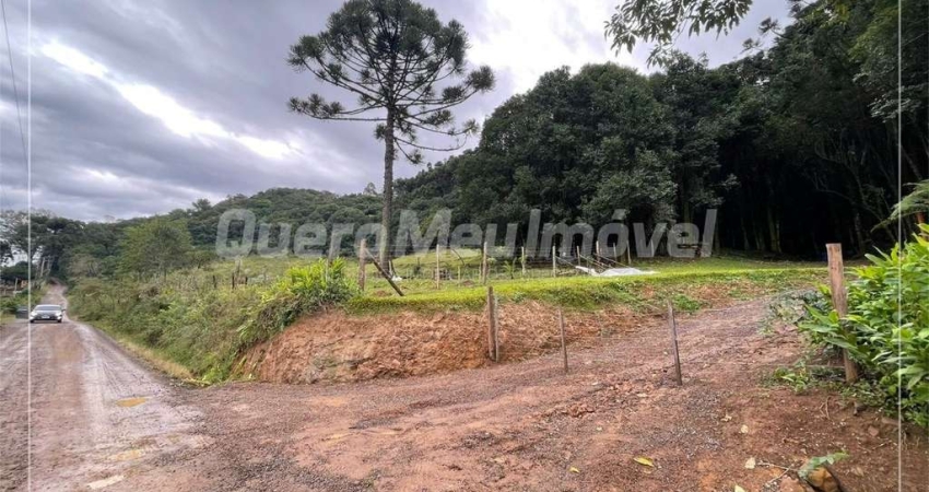 Terreno à venda na Estrada do Imigrante, 1000, Nossa Senhora das Graças, Caxias do Sul