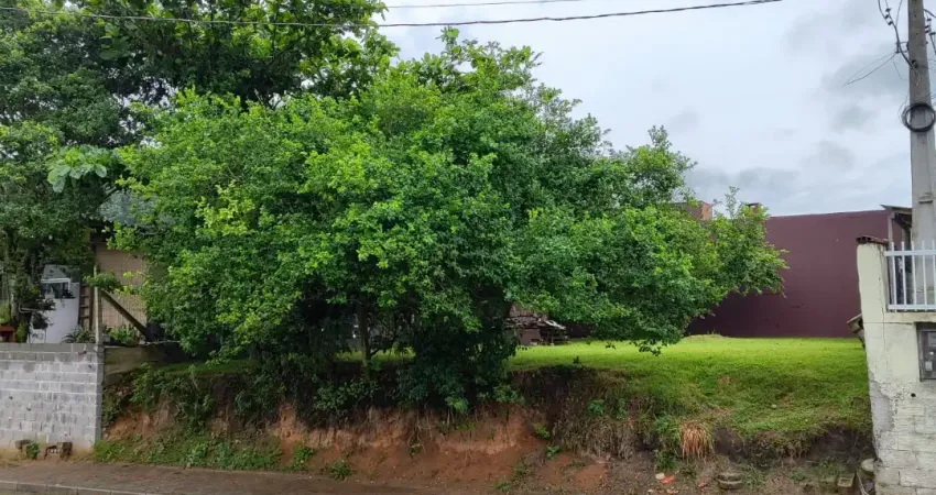 Terreno à venda - 294 m² - josé amândio - bombinhas, valor r$450.000,00