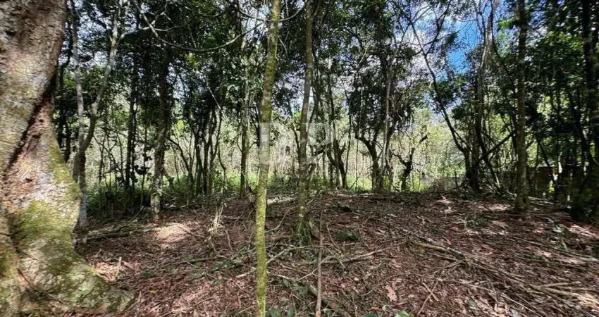 Terreno à venda na Estrada Varginha, Varginha, Teresópolis