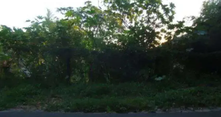 Terreno à venda na Travessa Dona Paulina, 614, Tristeza, Porto Alegre