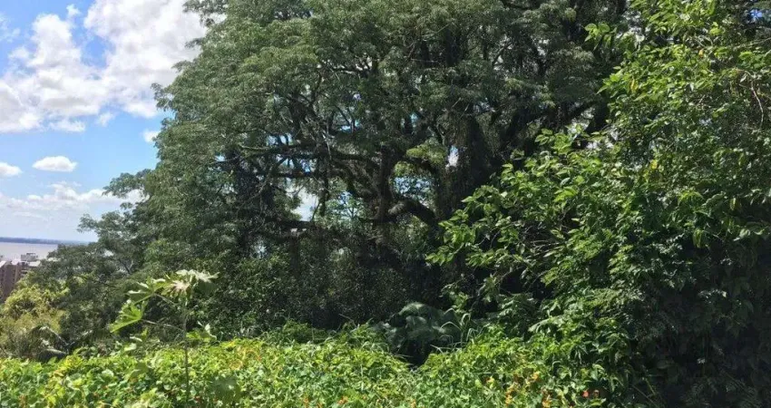 Terreno à venda na Rua Liberal, 208, Tristeza, Porto Alegre