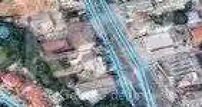 Terreno para Venda - 0m², 0 dormitórios, Cavalhada, Porto Alegre