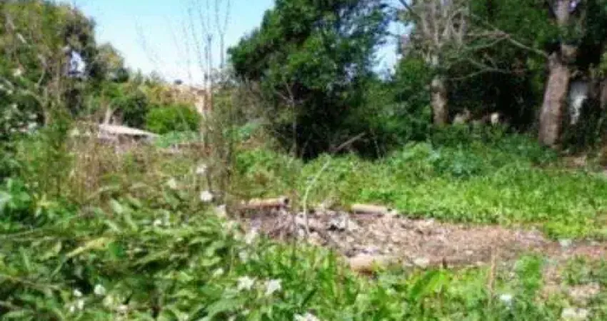 Terreno à venda na Travessa Doutor Mario Totta, 2433, Camaquã, Porto Alegre