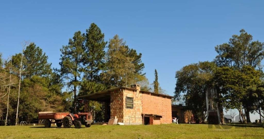 Chácara / sítio com 3 quartos à venda na Estrada da Estancia Grande, 573, Estância Grande, Viamão