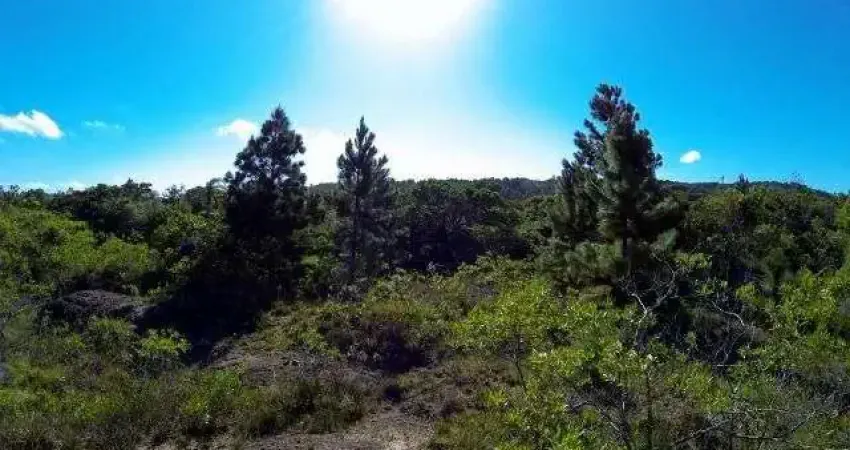 Chácara / sítio à venda na Rodovia Frei Pacífico, 7974, Itapuã, Viamão