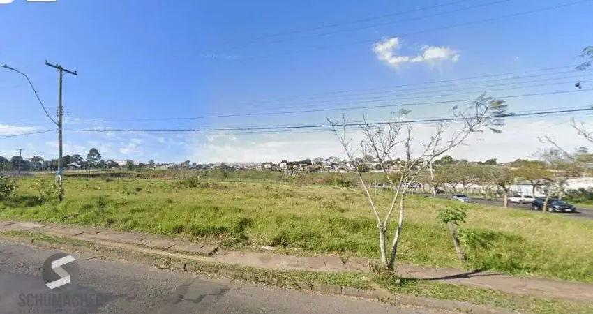 Terreno à venda na Rua Nortran, 143, Passo das Pedras, Porto Alegre