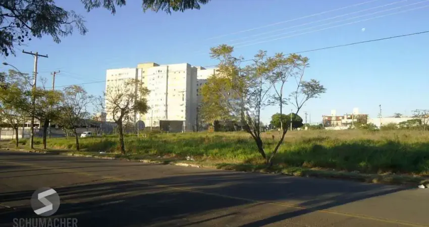Terreno à venda na Rua Nortran, 134, Passo das Pedras, Porto Alegre