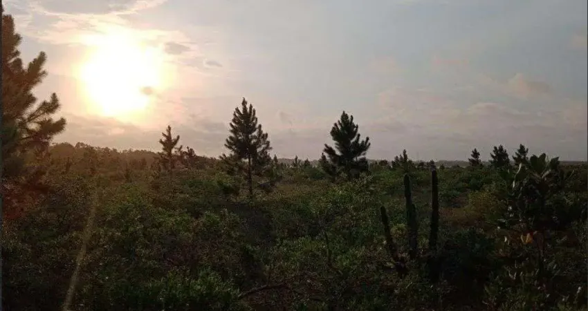 Chácara / sítio à venda na Estrada Rs 784, 84, Zona Rural, Cidreira
