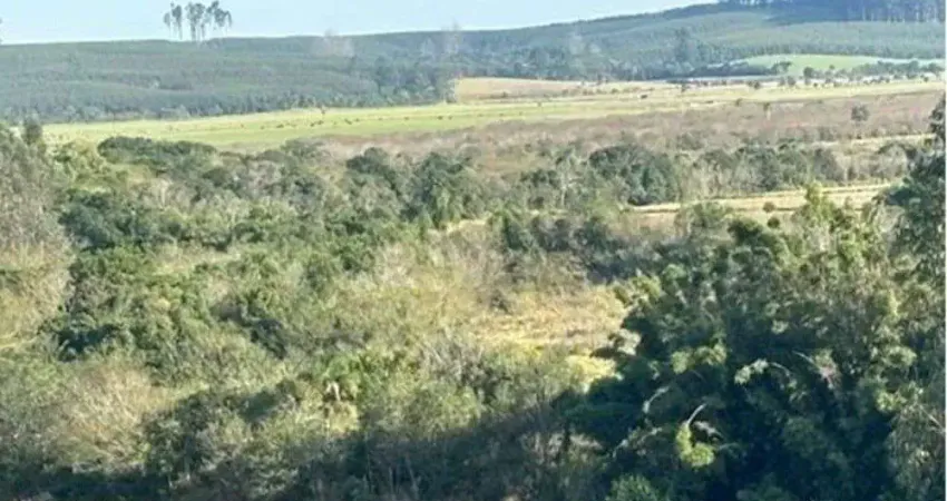 Chácara / sítio à venda na do Bonilha, 2552, Centro, Tapes