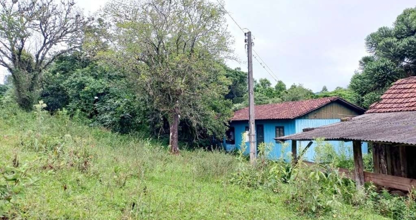 Chácara / sítio à venda na Linha Baixa Grande, 177, Centro, Riozinho