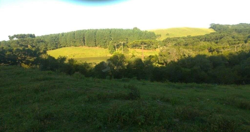 Fazenda em Fazenda Souza