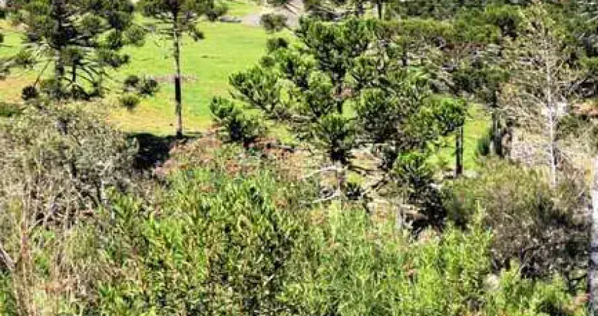 Chácara / sítio com 3 quartos à venda na 390, 453, Centro, Bom Jardim da Serra