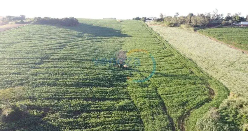 Chácara-imóvel-rural com 1 quarto  à venda, 121000.00 m2 por r$3500000.00  - zona rural - ibipora/pr