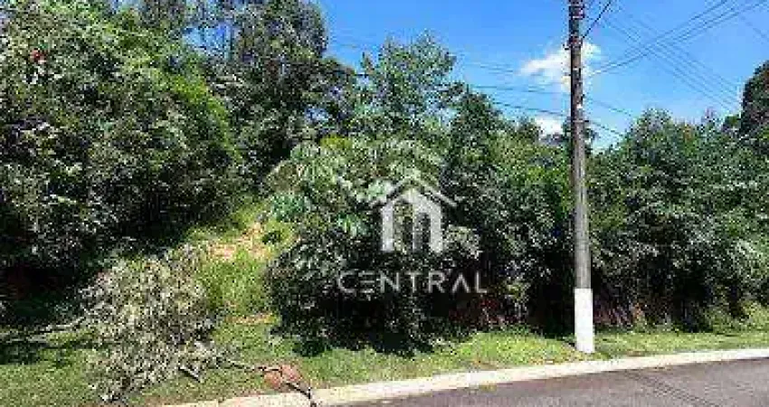 Terreno à venda, 1151 m² por R$ 750.000,01 - Roseira - Mairiporã/SP