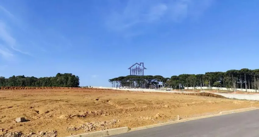 Terreno à venda, 120 m² por R$ 189.000,00 - Estados - Fazenda Rio Grande/PR