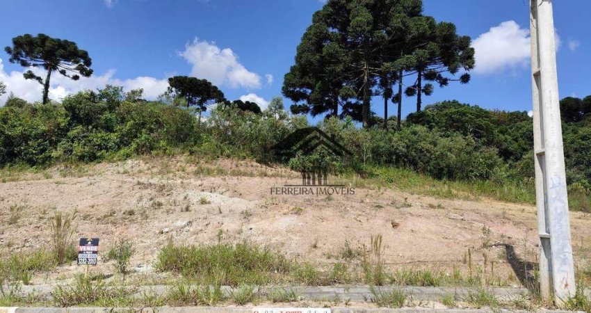 Terreno à venda, 189 m² por R$ 143.640 - Moradias Bom Jesus - Campo Largo/PR