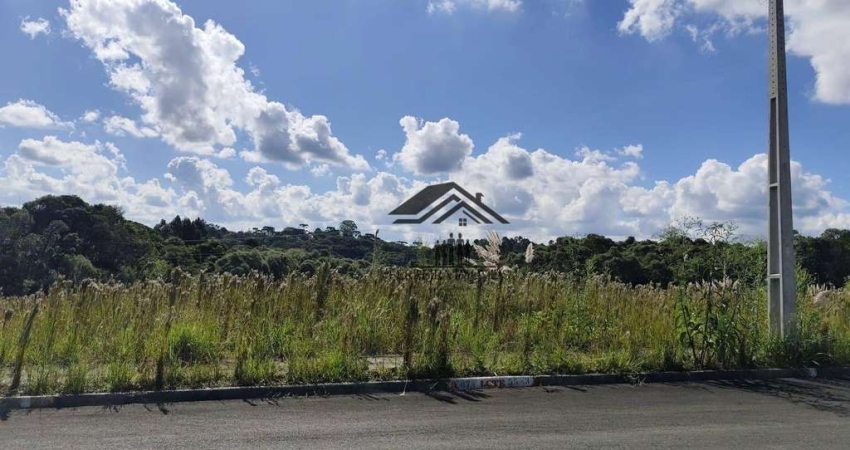 Terreno à venda, 151 m² por R$ 144.143 - Moradias Bom Jesus - Campo Largo/PR