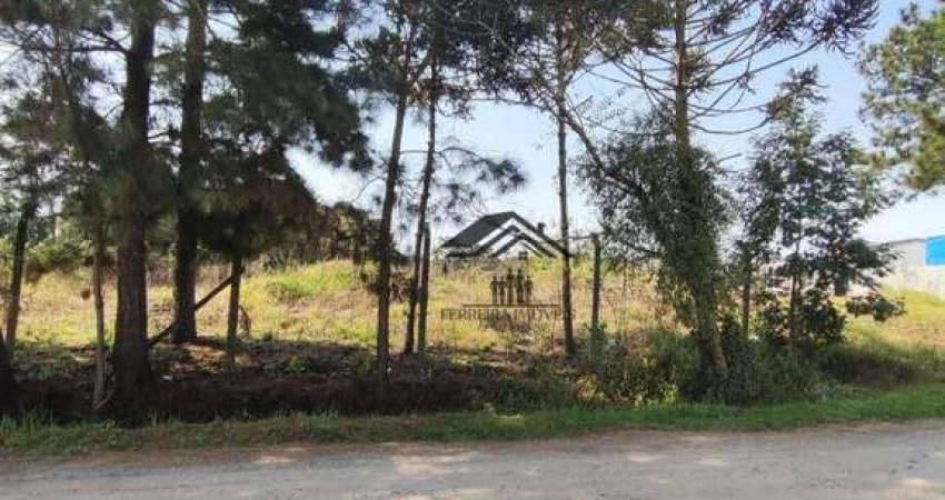 Terreno à venda, 734 m² por R$ 450.000 - Cristal - São José dos Pinhais/PR