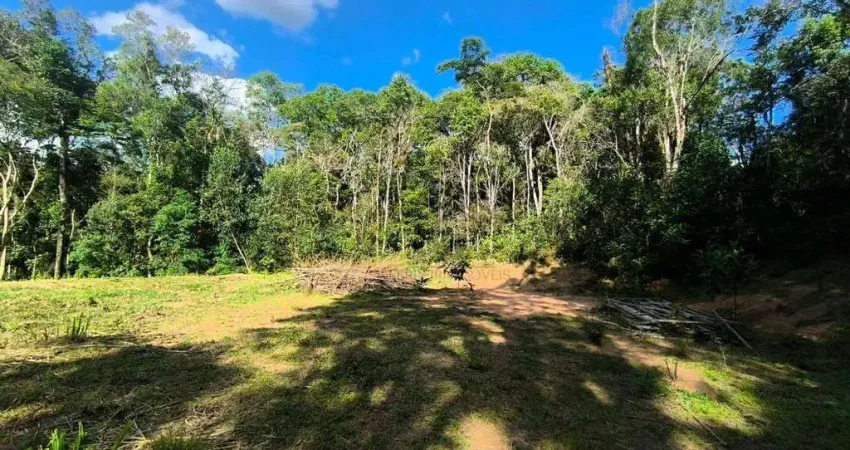 Chácara à venda, 12000 m² por r$ 250.000 - areia branca dos assis - mandirituba/paraná