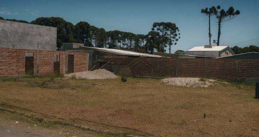 Terreno à venda, 510 m² por R$ 360.000,00 - Rio Pequeno - São José dos Pinhais/PR