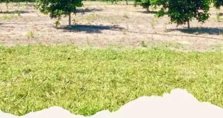 Chácara / sítio à venda na Estrada de Sobradinho, 100, Solar (São Vicente), Araruama