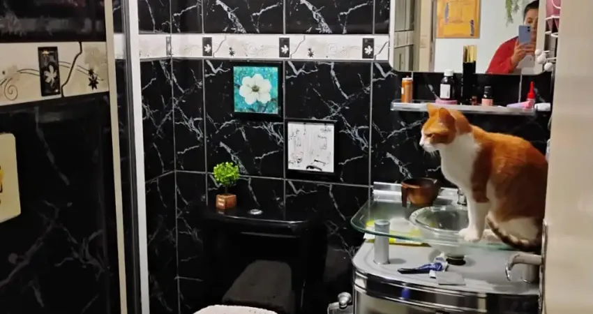 Apartamento Itapevi