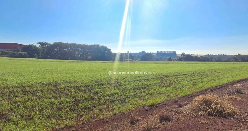 Área Industrial com 28.500 m²  Acesso Direto pela BR-277