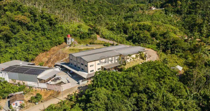 Galpão para alugar, 1600 m² por R$ 15.635/mês - Ribeirão Máximo - Luiz Alves/SC