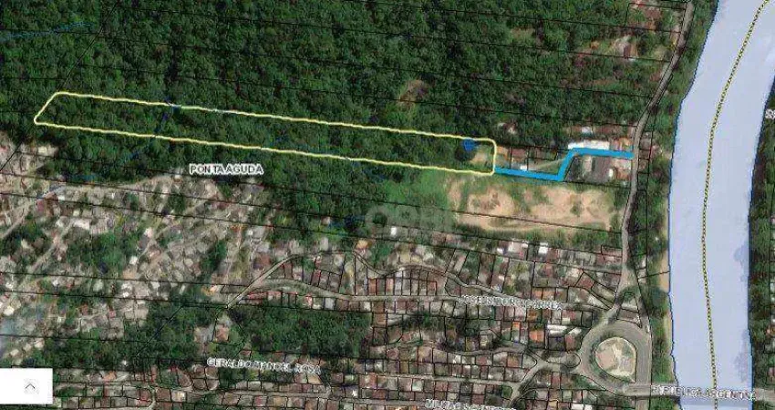 Terreno à venda, 24862 m² por R$ 1.500.000,00 - Ponta Aguda - Blumenau/SC