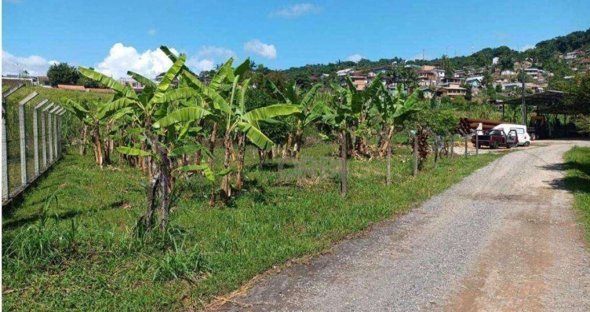 Terreno à venda, 993 m² por R$ 750.000,00 - Ponta Aguda - Blumenau/SC