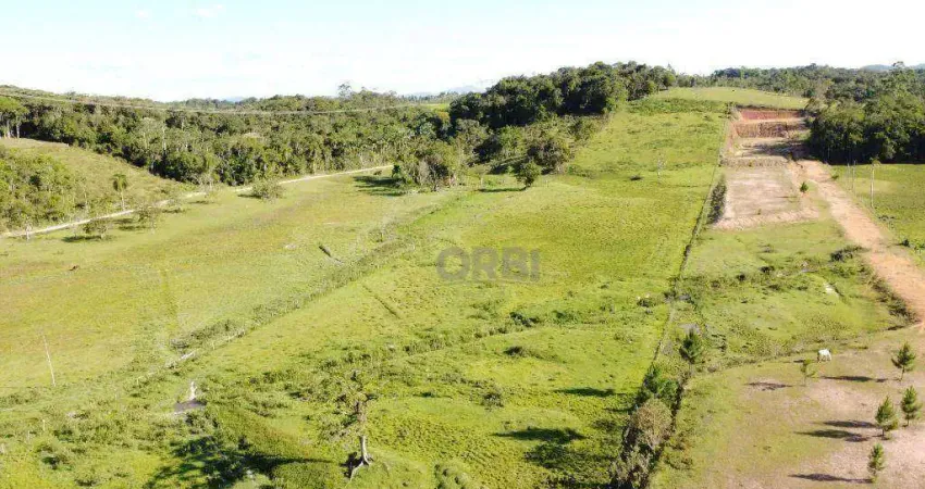 Terreno à venda, 29008 m² por r$ 1.350.000,00 - macucos - gaspar/sc