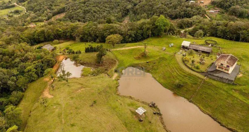 Sítio com 3 dormitórios à venda, 307.505,00 m² por r$ 3.600.000 - vila itoupava - blumenau/sc | orbi imóveis