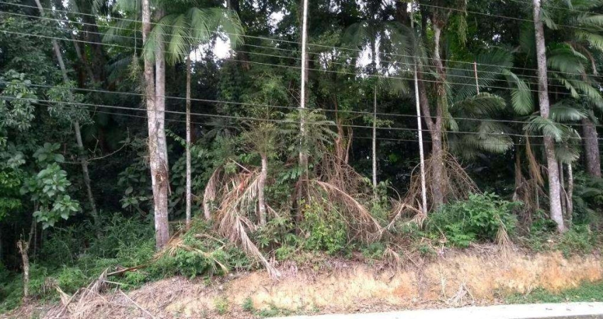 Terreno à venda, 3665 m² por R$ 1.200.000,00 - Salto do Norte - Blumenau/SC