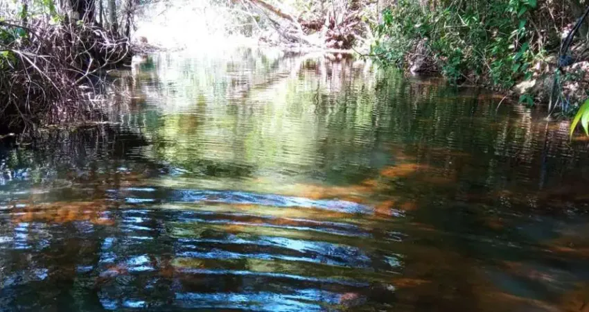 Chácara para Venda em Cocalzinho de Goiás, Edilândia, 5 dormitórios, 2 suítes, 3 banheiros, 6 vagas
