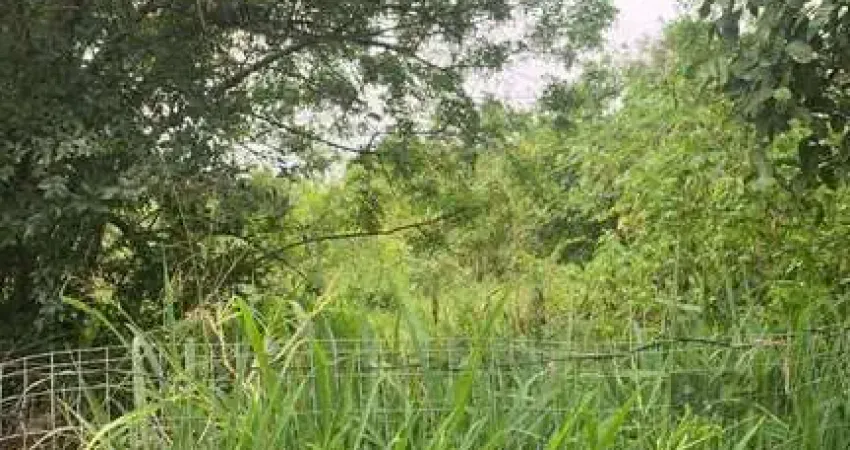Terreno à venda na Avenida Heitor Vieira, 1550, Belém Novo, Porto Alegre