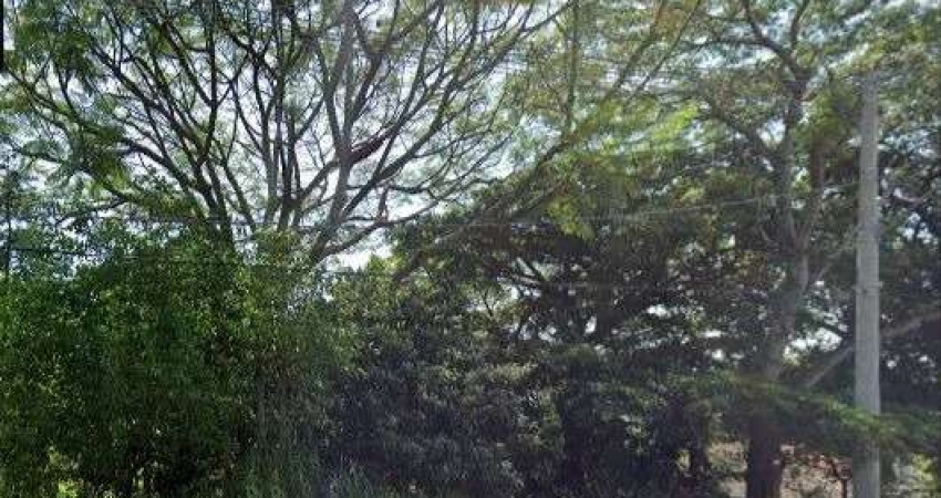 Terreno a venda em localização privilegiada, com 15,5m de frente e com uma área total de 564,8m².&lt;BR&gt;O terreno tem declive até rua encontrar a Av. Padre Cacique. &lt;BR&gt;Oportunidade para quem