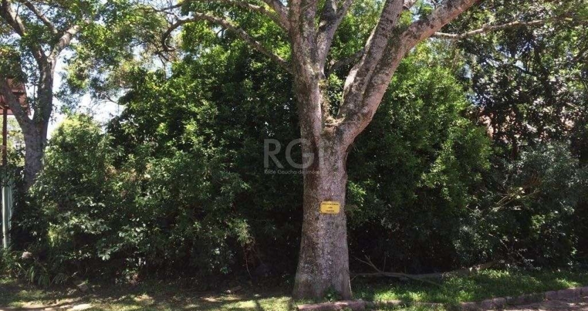 Terreno para Venda - 0m², 0 dormitórios, Teresópolis