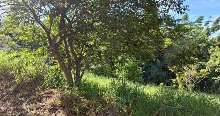 Terreno 23,62 de frente por 52.91 de extenção - Av costa gama 2845