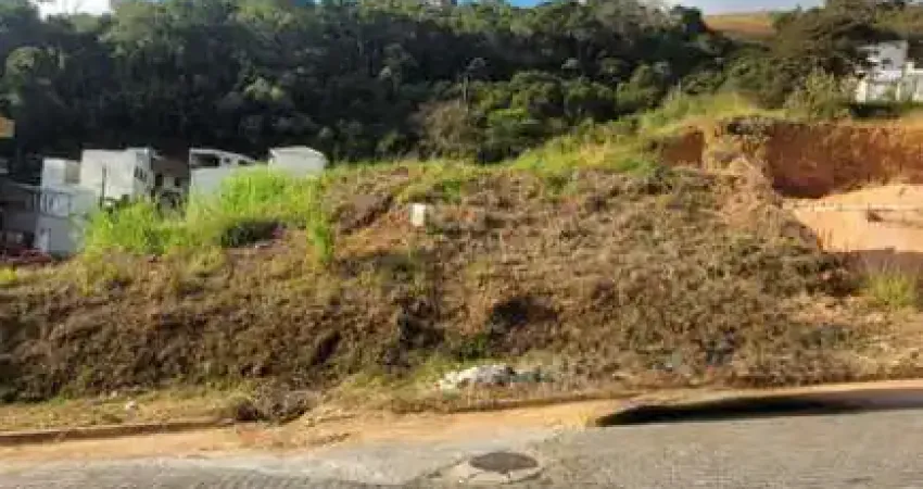 Terreno à venda na Rua Plácido de Magalhães Gomes, s/n, Lourdes, Juiz de Fora