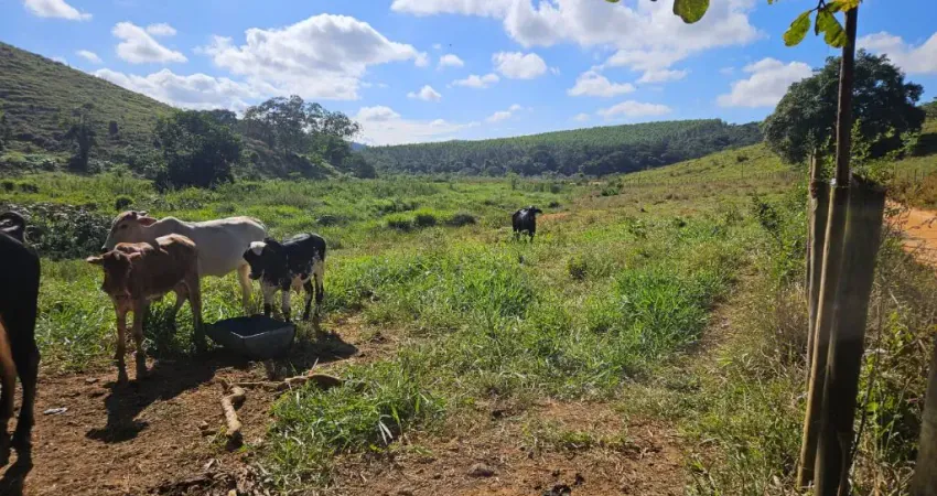 Terreno à venda na Zona Rural, Periquito 