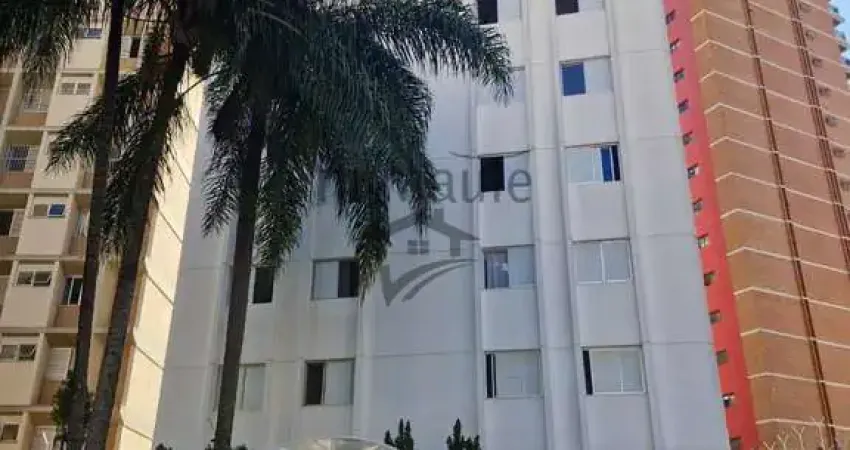 Apartamento com 3 quartos para alugar no Cambuí, Campinas 