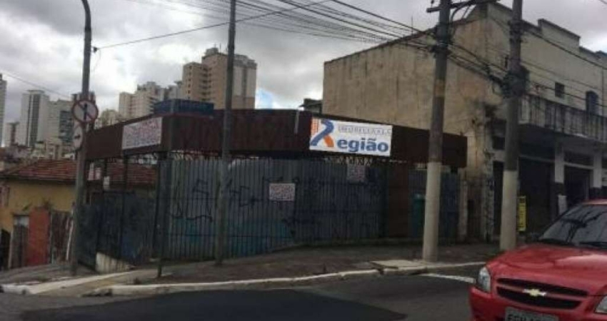 Terreno comercial para alugar na Avenida Regente Feijó, 397, Água Rasa, São Paulo