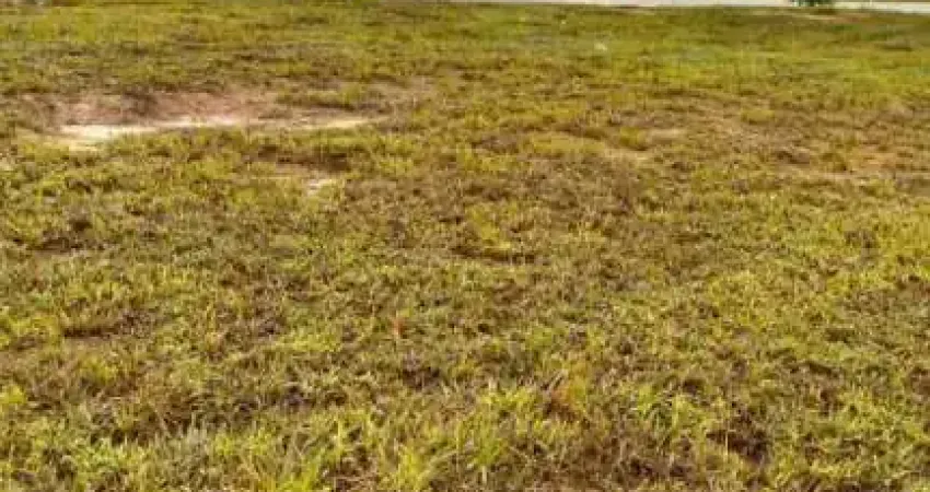 Localização ótima com 502m² no Alphaville I