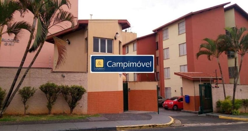 Apartamento para Venda em Campinas, Jardim Paulicéia, 2 dormitórios, 1 banheiro, 1 vaga