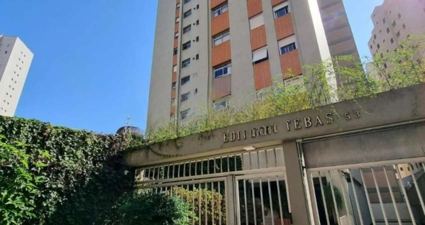 Apartamento com 2 quartos para alugar na Rua Doutor Guilherme da Silva, --, Cambuí, Campinas