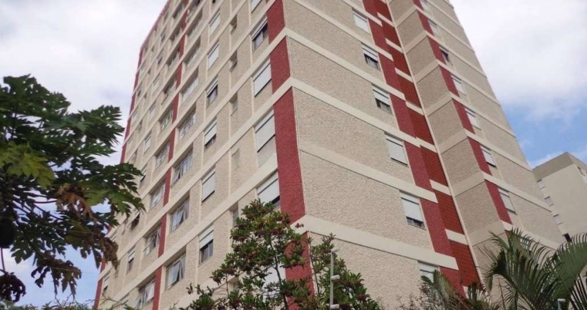 Apartamento com 3 quartos para alugar na Rua Major Luciano Teixeira, --, Bonfim, Campinas