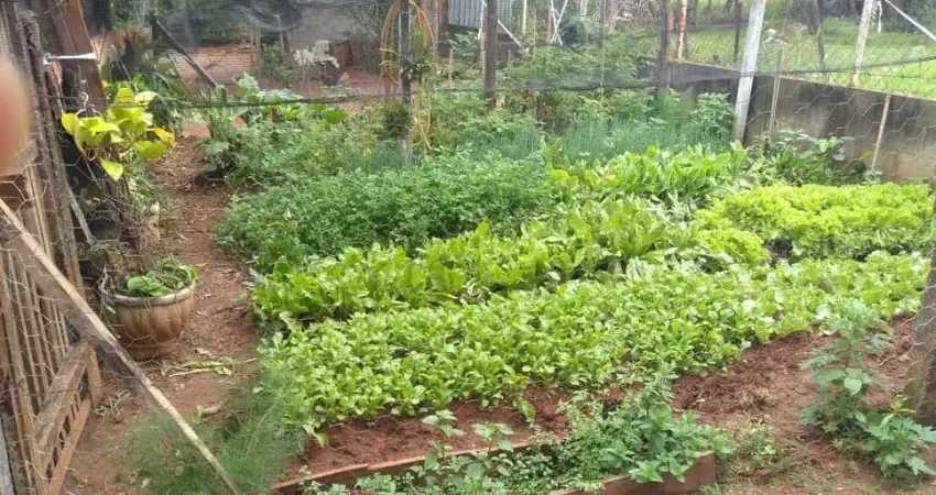 Chácara / sítio com 3 quartos à venda na Rua Professor Argante Dimenco, Bom Recreio, Americana